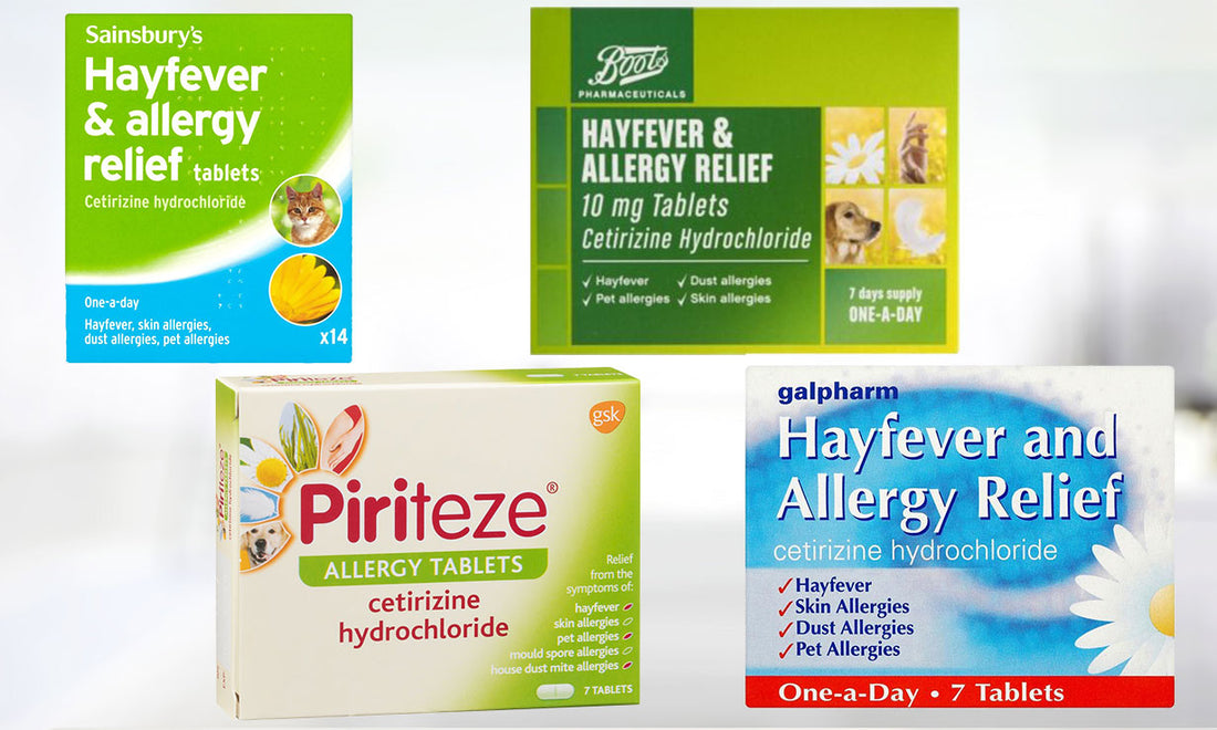 Top Picks: The Strongest Hay Fever Tablets for Severe Allergies